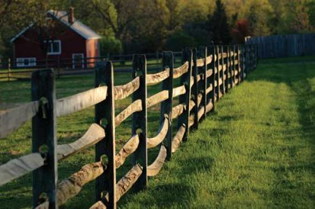 2014 Homesteaders of the Year Image